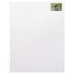 Squirrel Sitting on a Teapot Letterhead Design