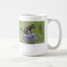 Squirrel Sitting on a Teapot Mug