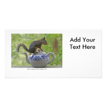 Squirrel Sitting on a Teapot Photo Card Template