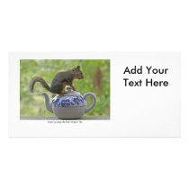 Squirrel Sitting on a Teapot Photo Card Template