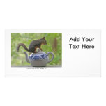 Squirrel Sitting on a Teapot Photo Card Template