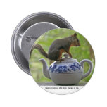 Squirrel Sitting on a Teapot Pins