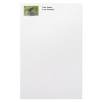 Squirrel Sitting on a Teapot Stationery