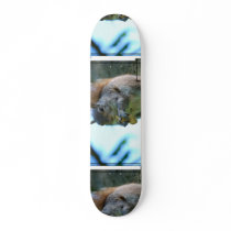 Squirrel Skateboard