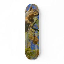 Squirrel Skate Deck