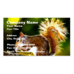 Squirrel Snack Time Business Card Template