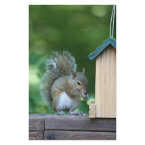 Squirrel stationery by Diamonddust_Designs Squirrel stationery
