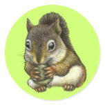 Squirrel Round Sticker