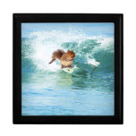Squirrel Surfer On The Sea Gift Boxes