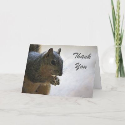 Thank You Squirrel