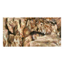 Squirrel - The Squirrel Photo Greeting Card