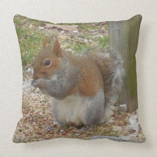 squirrel pillow pet