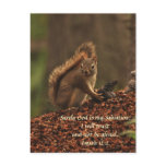 Squirrel - Trust Post Card