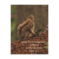 Squirrel - Trust Post Card