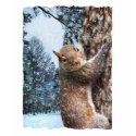 Squirrel t-shirts by woodlandsecrets Squirrel t-shirts