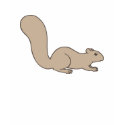 Squirrel t-shirts by zazelle Squirrel t-shirts