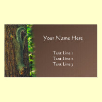 Squirrel Upside Down Nature Art Business Card business cards