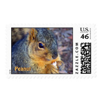 SQUIRREL USPS FIRST CLASS POSTAGE postage