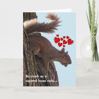 Squirrel Valentine's Card