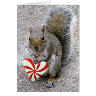 Squirrel Valentine's Card