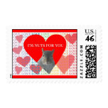 Squirrel Valentine's Day Postage Stamps