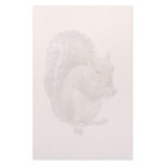 Squirrel Watermark stationery