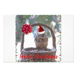 Squirrel Wearing Santa Hat Photo