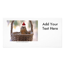 Squirrel Wearing Santa Hat Photo Greeting Card