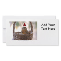 Squirrel Wearing Santa Hat Photo Greeting Card