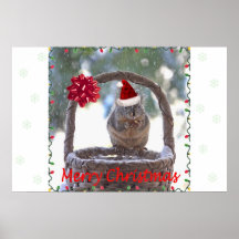 Squirrel Wearing Santa Hat Print