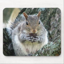 Squirrel with a Nut Mousepad mousepads