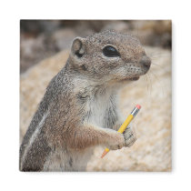 Squirrel With a Pencil Magnet by poozybear Squirrel With a Pencil Magnet