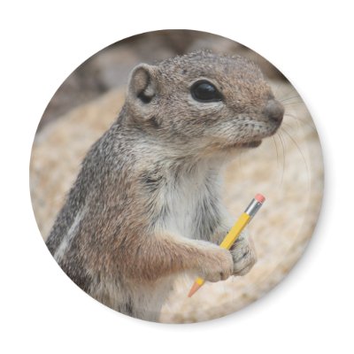 Squirrel With a Pencil Magnet