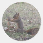 Squirrel with acorn round stickers