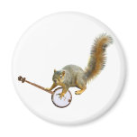 Squirrel with Banjo Magnets