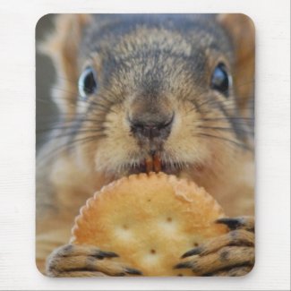 Squirrel With Cracker zazzle_mousepad