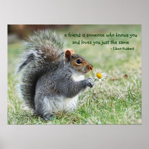 Squirrel Quotes And Sayings. QuotesGram