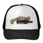 Squirrel with Empty Beer Bottle Mesh Hat