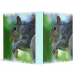 Squirrel with Nut Binder