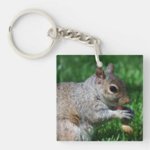 Squirrel with Nut Keychain Acrylic Keychain