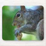 Squirrel with Nut Mouse Pad