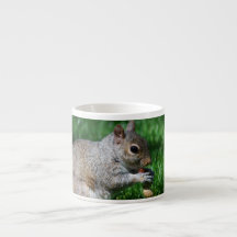 Squirrel with Nut Specialty Mug Espresso Mugs