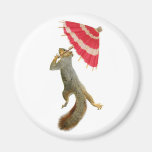 Squirrel with Parasol magnets