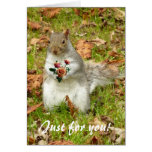 Squirrel with roses cards
