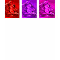 "Squirrelhol" Jeweltones t-shirts by woodlandsecrets "Squirrelhol" Jeweltones t-shirts