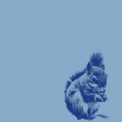 squirrelly