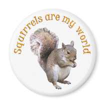 Squirrels are my World Magnets