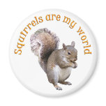 Squirrels are my World magnets