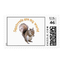 Squirrels are my World Postage Stamp