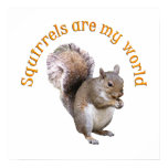 Squirrels are my World Squirrels are my World